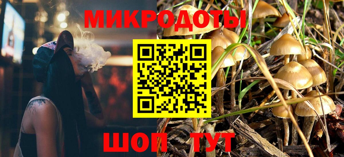 Галлюциногенные грибы Magic Shrooms  хочу   Каменка  Вход с VPN 